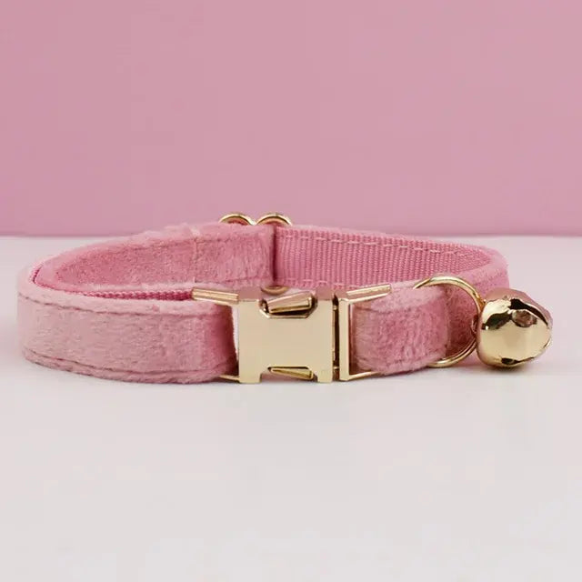 Luxury Velvet Pet Collar with Engraved Nameplate