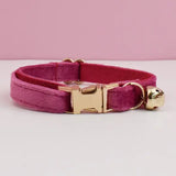 Luxury Velvet Pet Collar with Engraved Nameplate