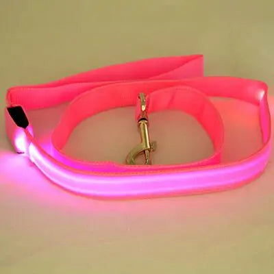 Glow-In-The-Dark Dog Leash