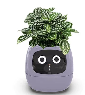 Smart Flowerpot